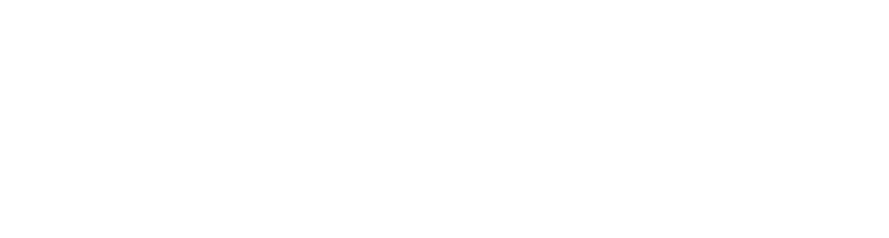 BodyLink